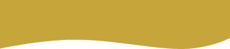 Vector 85